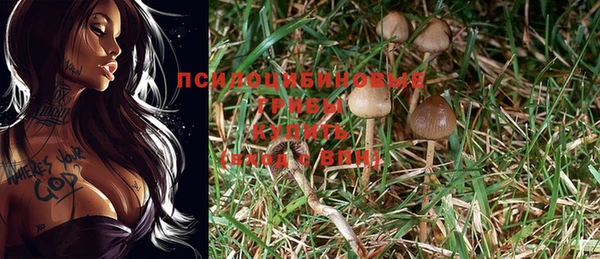 тгк Беломорск
