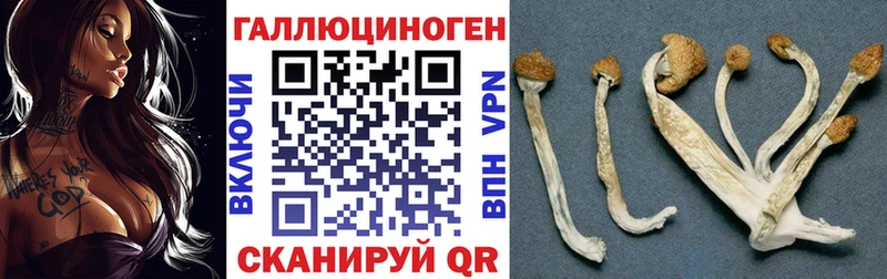 Галлюциногенные грибы Cubensis  Очёр 