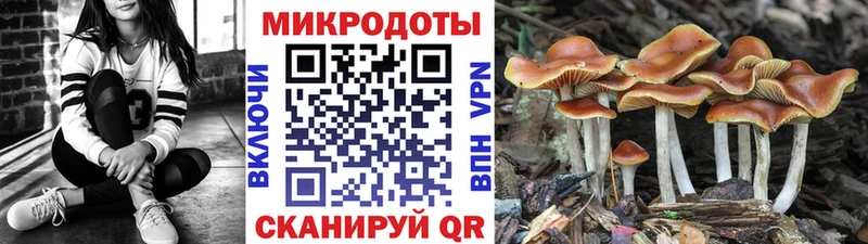 Галлюциногенные грибы мицелий Очёр